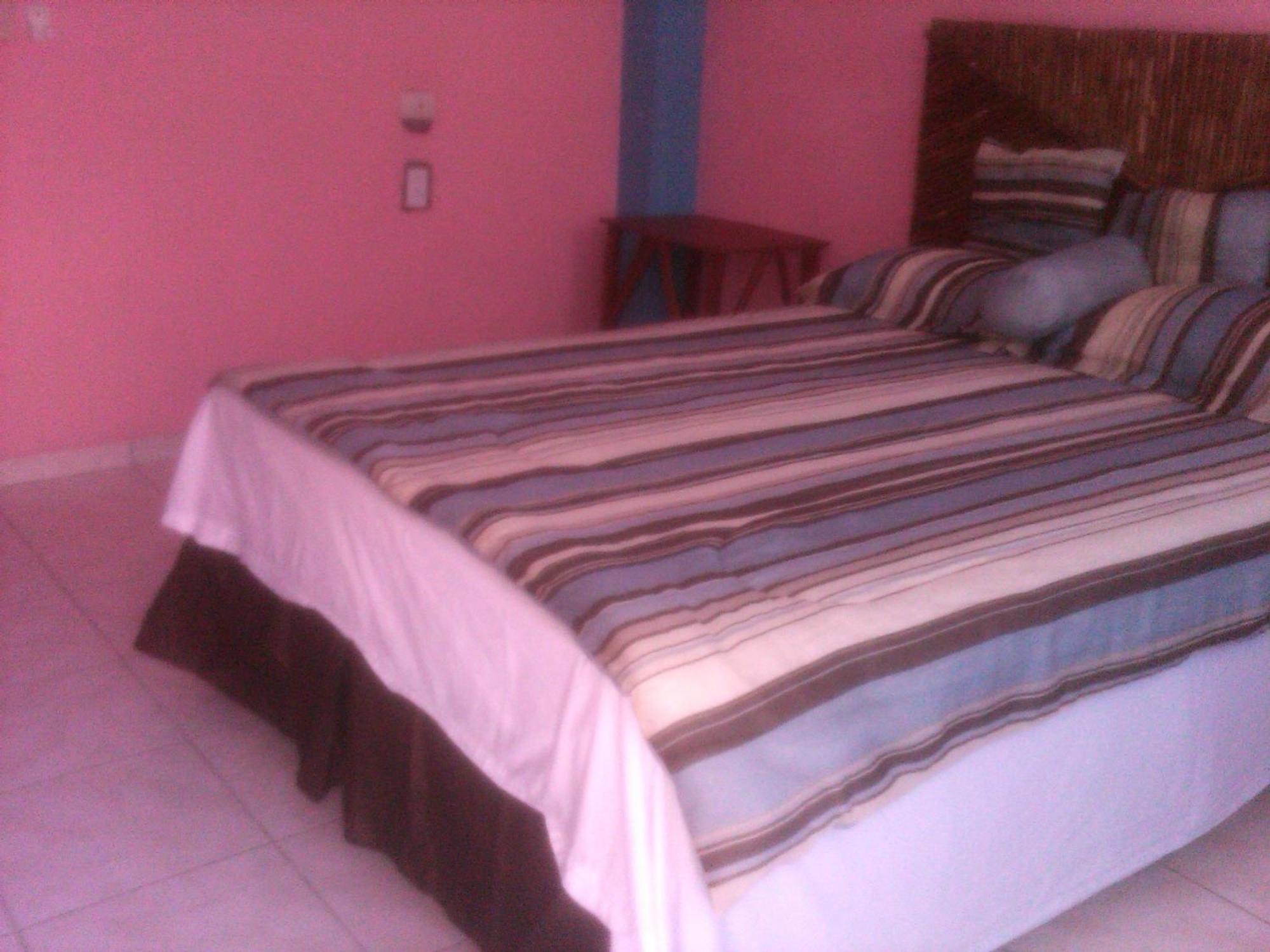 La Delphina Bed&Breakfast Bar&Grill La Ceiba Exterior foto